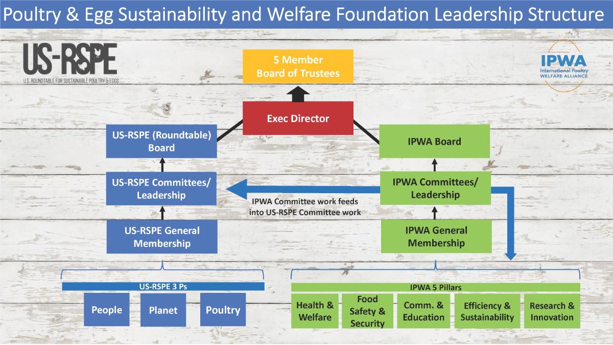 IPWA Leadership Structure Chart