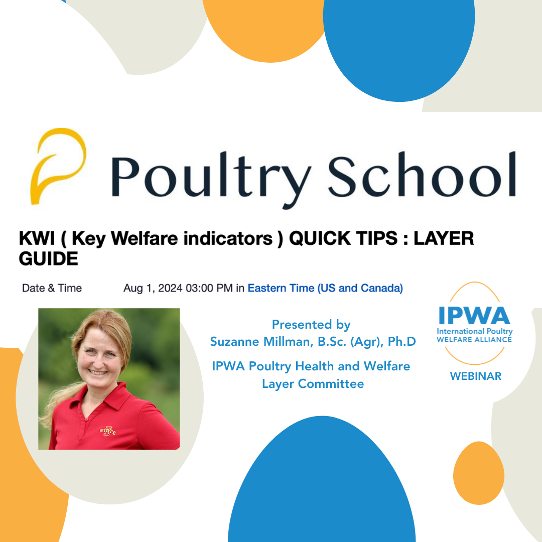 Poultry School Layer